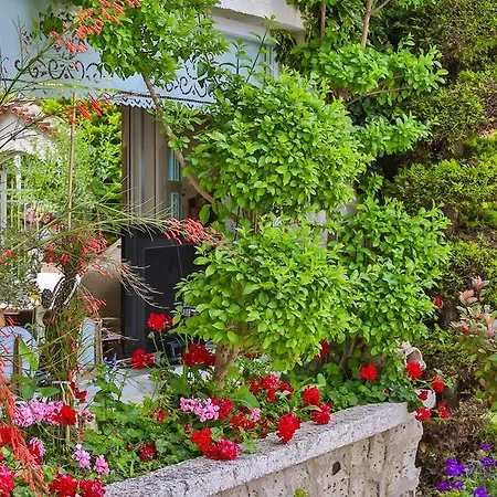 イン My Stone - Special Category