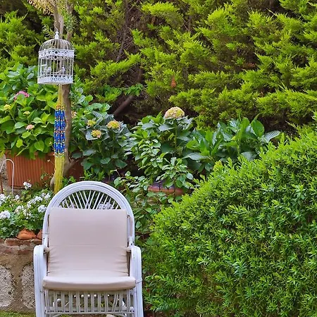 My Stone - Special Category