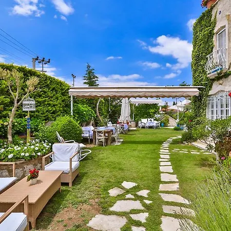 イン My Stone - Special Category