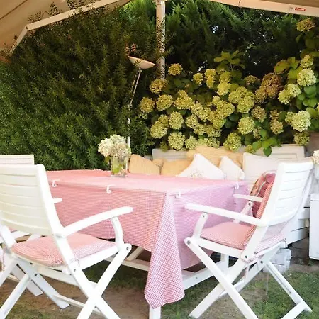 イン My Stone - Special Category 3*