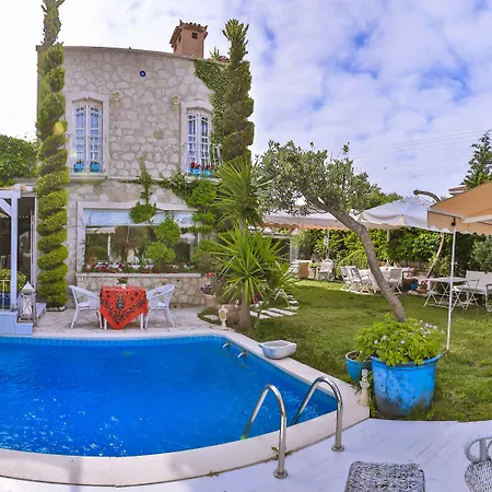 My Stone - Special Category Zajazd 3*