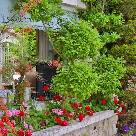 My Stone - Special Category Zajazd