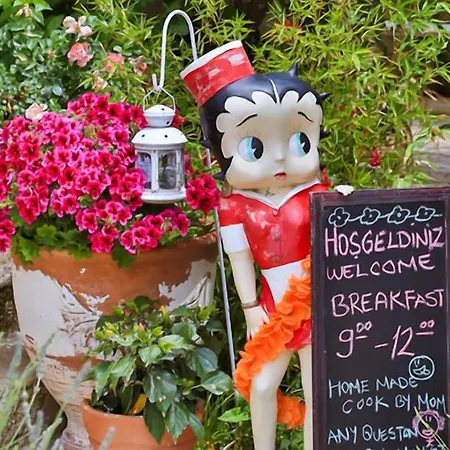 My Stone - Special Category Zajazd